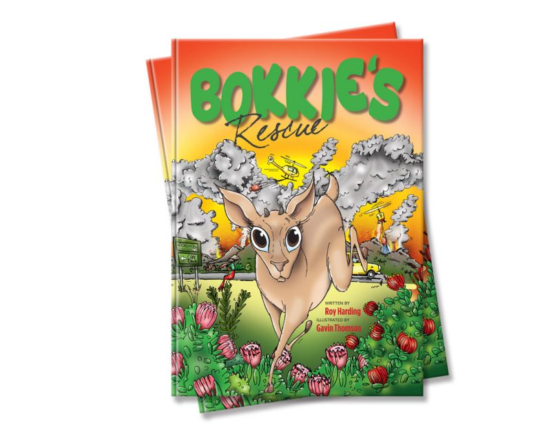 children's illustration story book about Bokkie escaping a fire