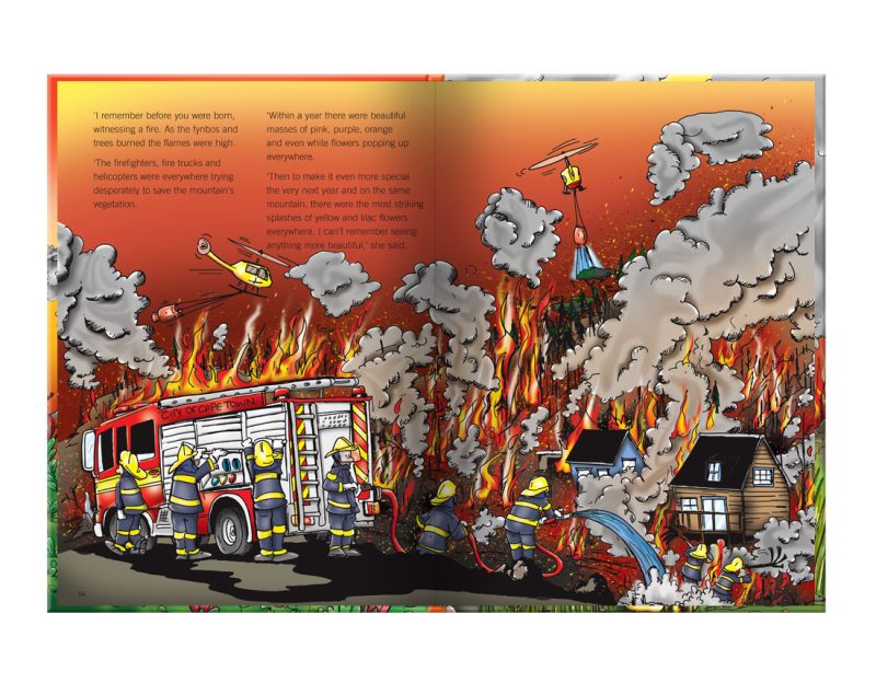 children's illustration story book about the adventures of Bokkie