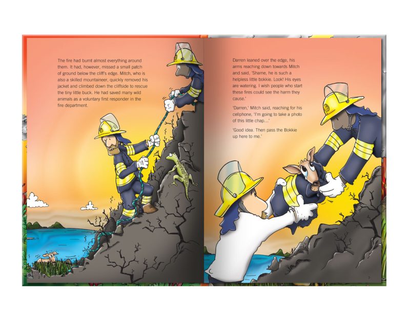 children's illustration story book about the adventures of Bokkie
