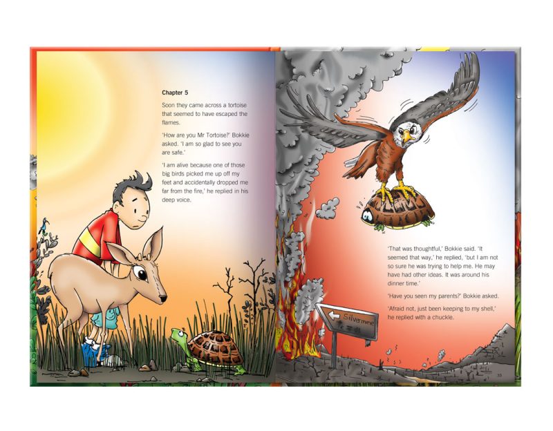 children's illustration story book about the adventures of Bokkie