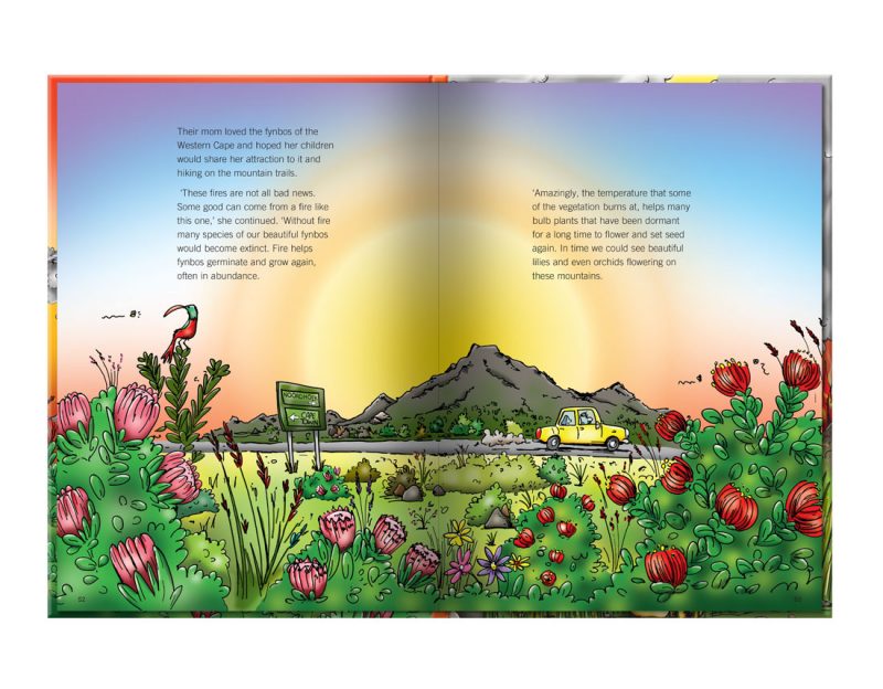 children's illustration story book about the adventures of Bokkie