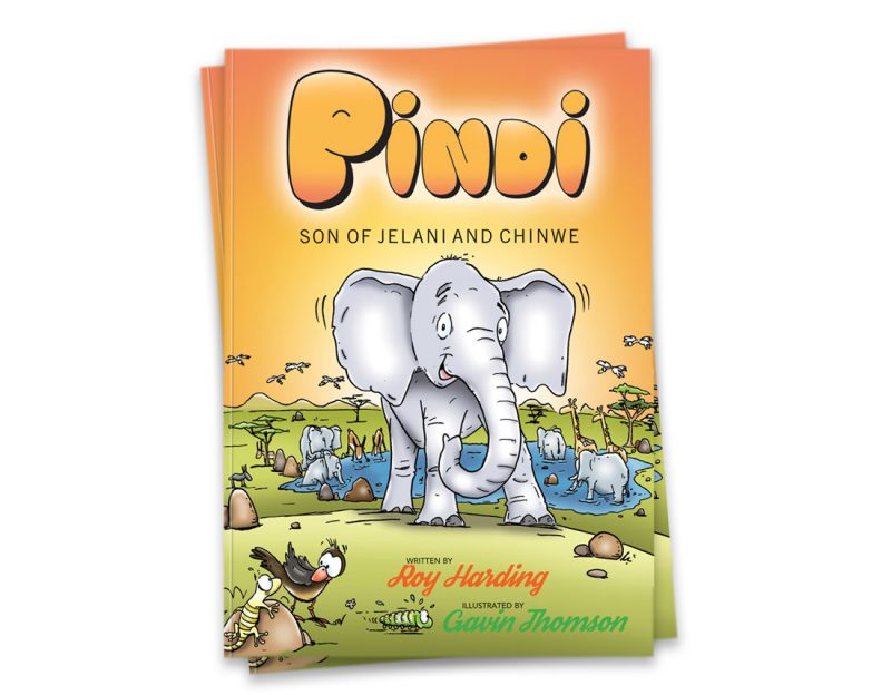 children's illustration story book about the adventures of Pindi the little elephant