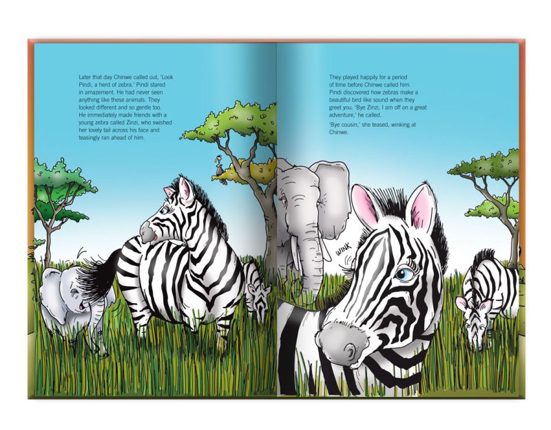 children's illustration story book about the adventures of Pindi the little elephant